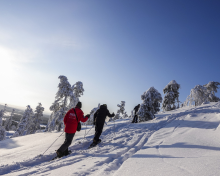 Exploring the outdoors in Finland february 2022