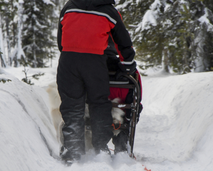 Exploring the outdoors in Finland february 2022