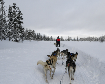 Exploring the outdoors in Finland february 2022