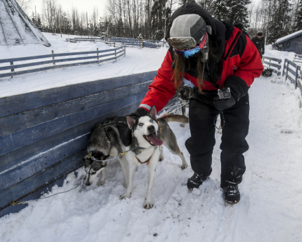 Exploring the outdoors in Finland february 2022